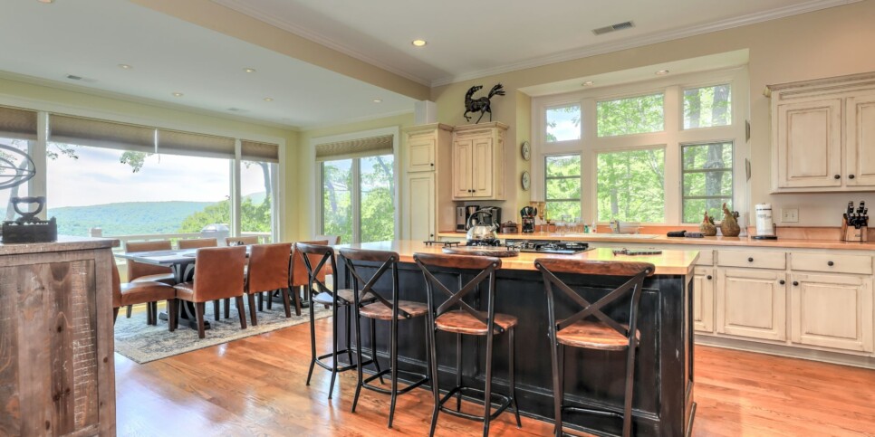 Big Canoe - Chasing Chipmunks - Kitchen