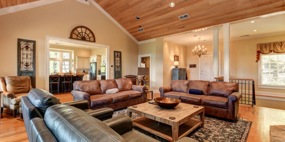 Big Canoe - Chasing Chipmunks - Living Room