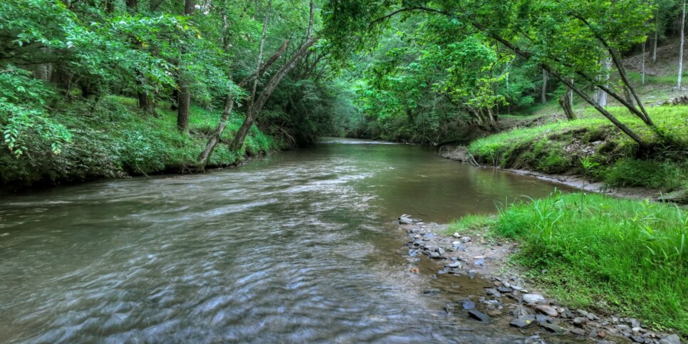 Blue Ridge Cabin - Your Happy Place - Exterior