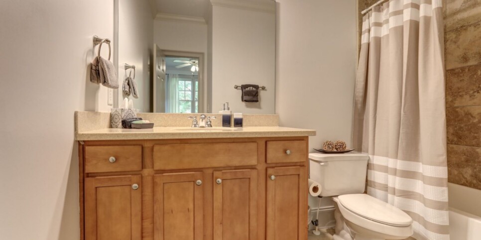 Big Canoe Rental - Laurel Summit - Bathroom