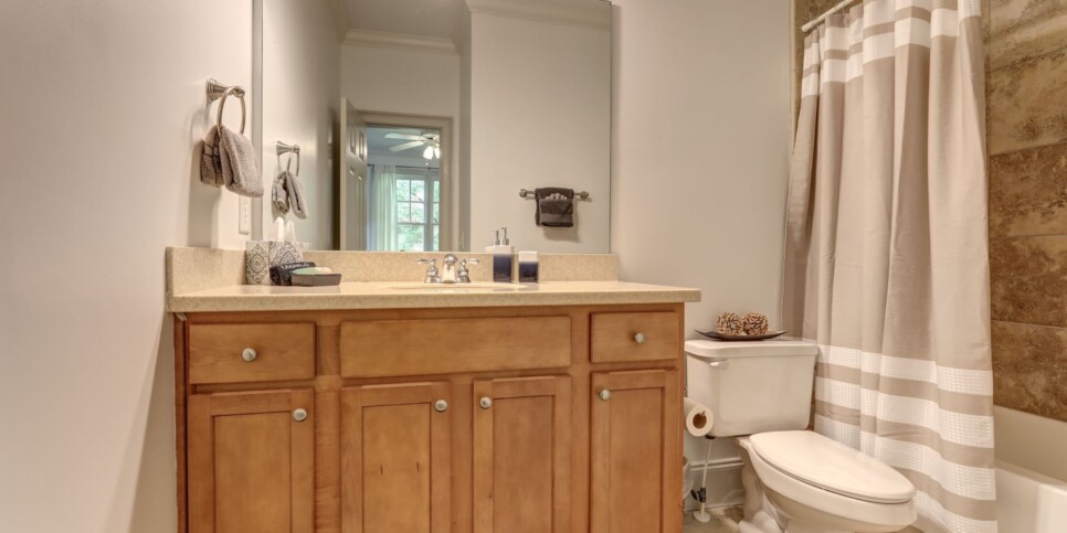 Big Canoe Rental - Laurel Summit - Bathroom