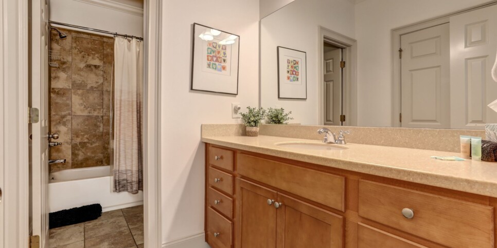 Big Canoe Rental - Laurel Summit - Bathroom