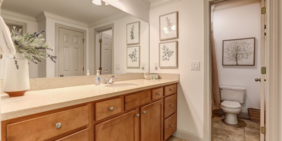 Big Canoe Rental - Laurel Summit - Bathroom