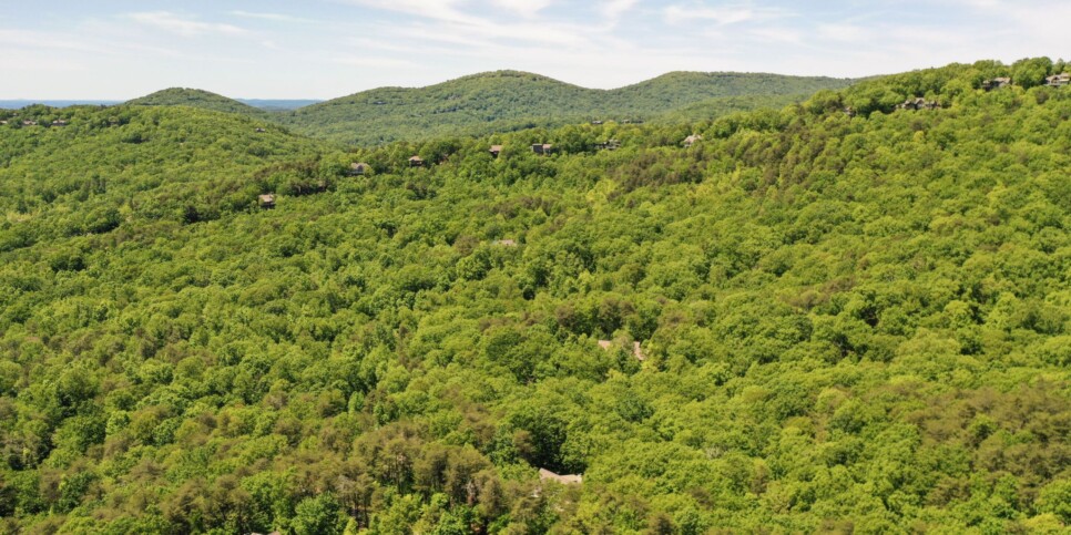 Big Canoe - The Wolf Den - Exterior