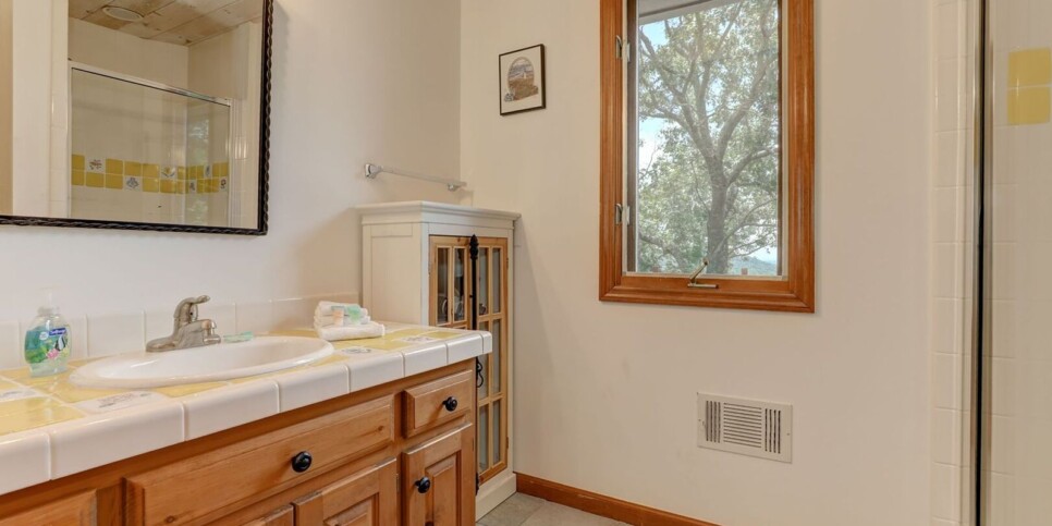 Big Canoe - Falken Haus - Bathroom