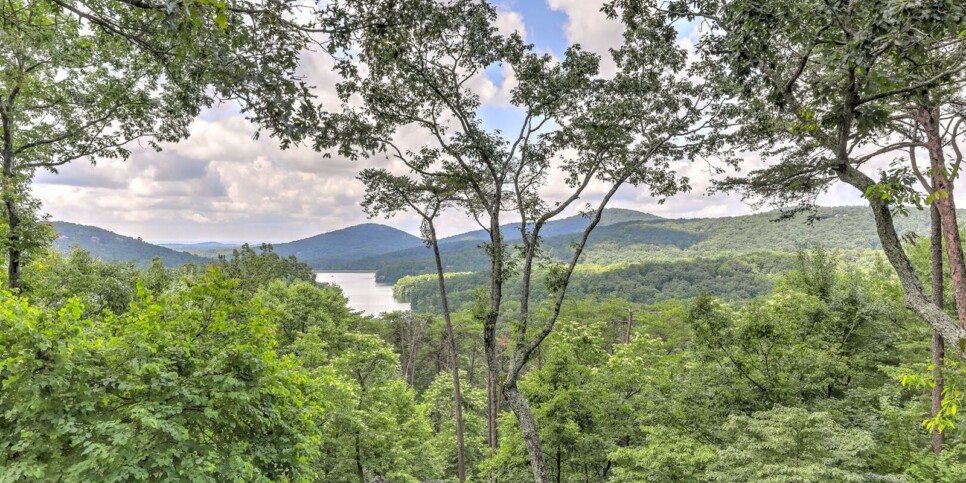 Big Canoe - Falken Haus - Exterior