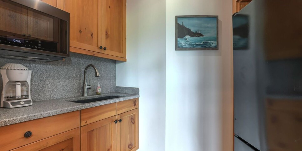 Big Canoe - Falken Haus - Recreation