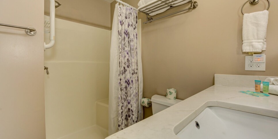 Big Canoe Villa On 9 Bathroom