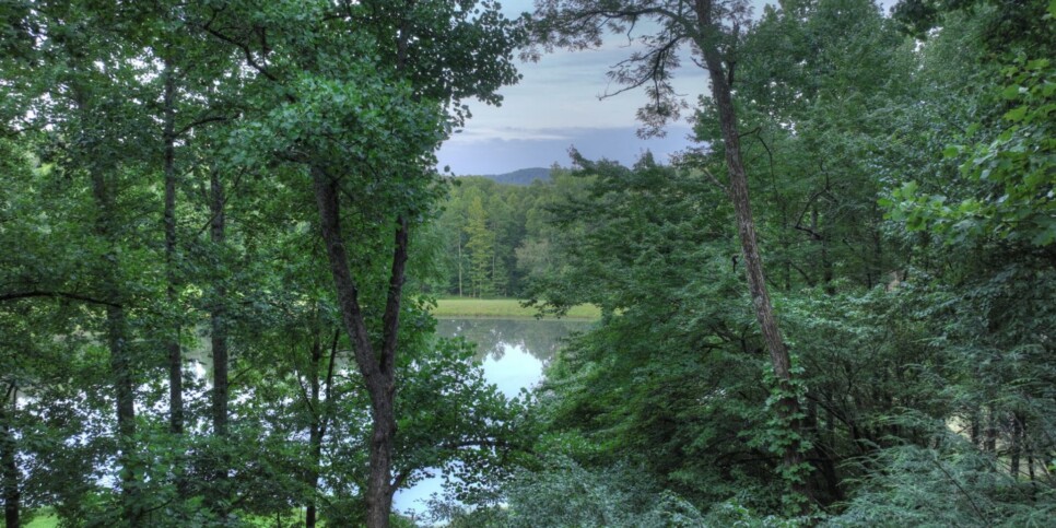 Blue Ridge Cabin - Blueberry Hill - Exterior