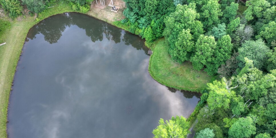 Blue Ridge Cabin - Blueberry Hill - Exterior