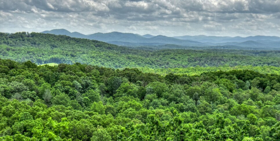 Blue Ridge - Sunrise Vista Lodge - Exterior