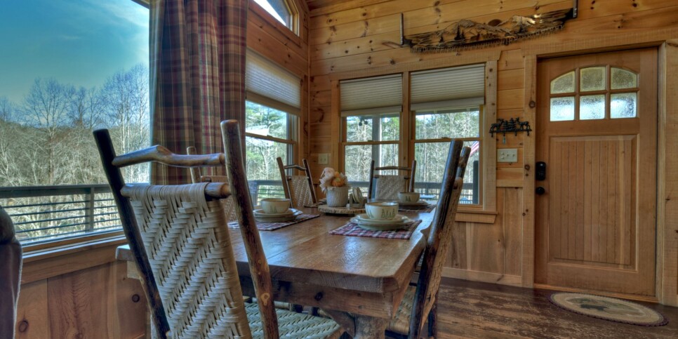 Blue Ridge - Cabin Rental - Carters Cozy Cabin - Living Room