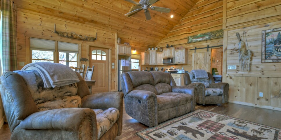 Blue Ridge - Cabin Rental - Carters Cozy Cabin - Living Room