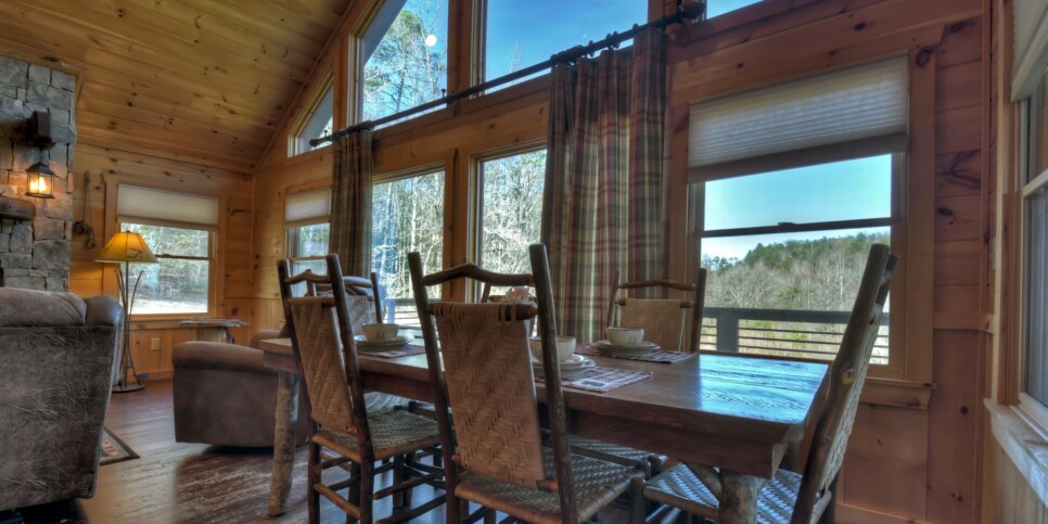 Blue Ridge - Cabin Rental - Carters Cozy Cabin - Living Room