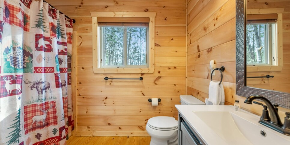Ellijay - Bucks Bear Lodge - Bathroom