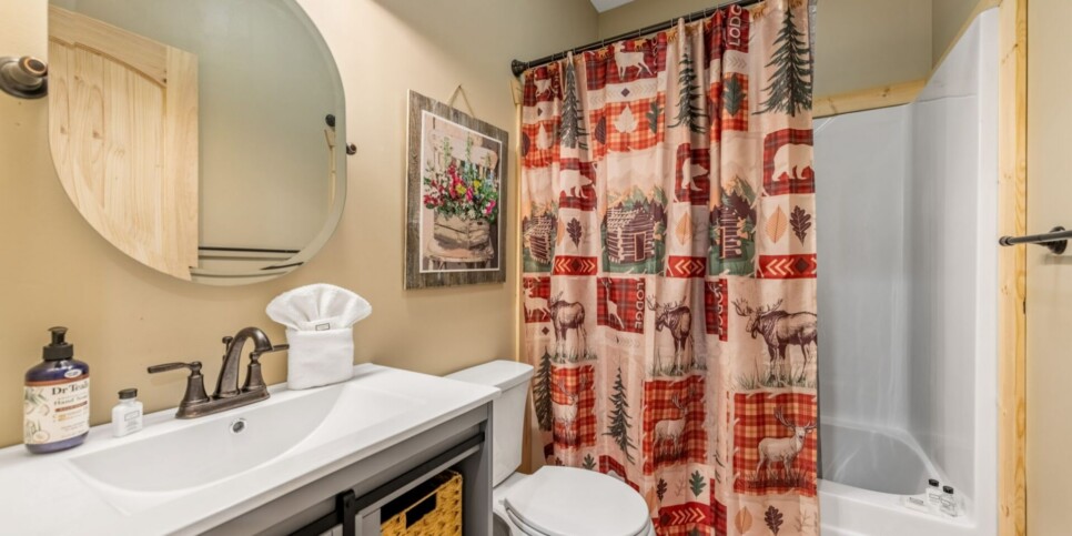 Ellijay - Bucks Bear Lodge - Bathroom