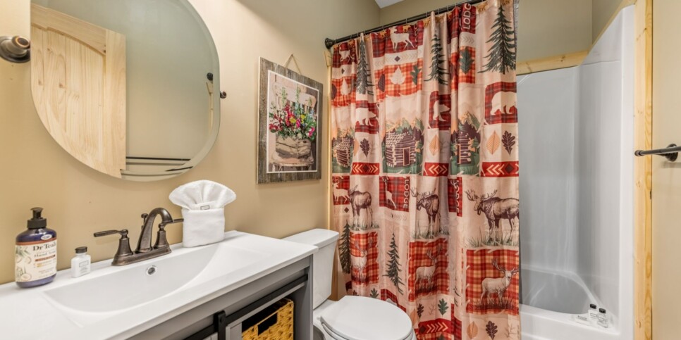 Ellijay - Bucks Bear Lodge - Bathroom