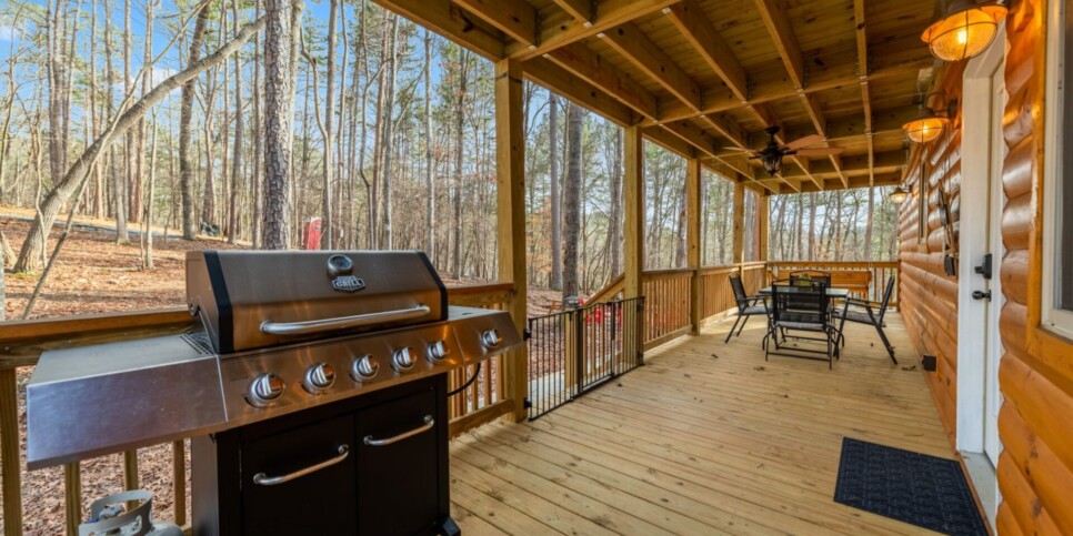 Ellijay - Bucks Bear Lodge - Exterior