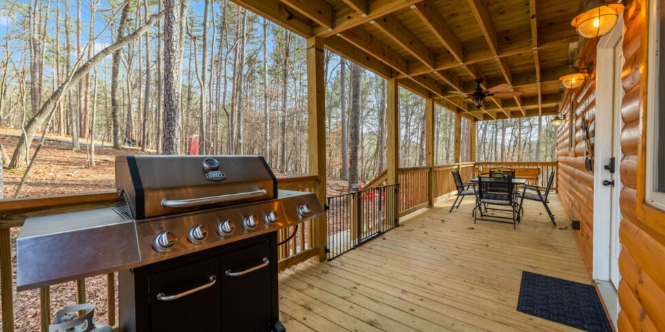 Ellijay - Bucks Bear Lodge - Exterior