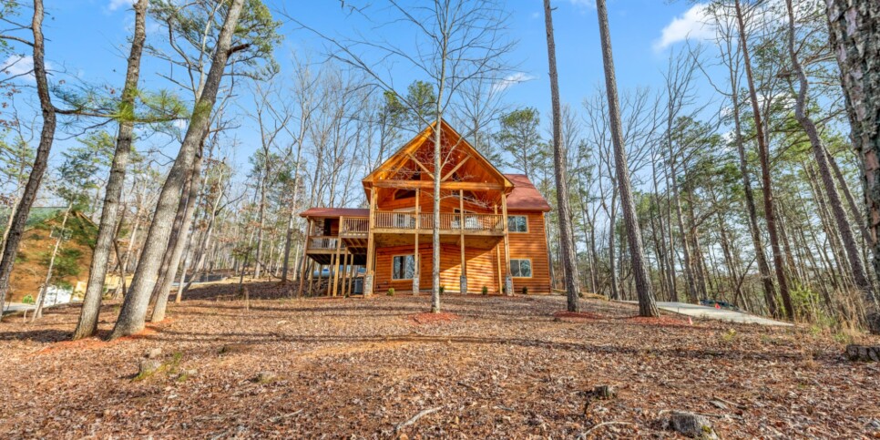 Ellijay - Bucks Bear Lodge - Exterior