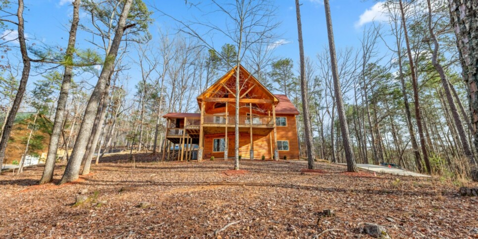 Ellijay - Bucks Bear Lodge - Exterior