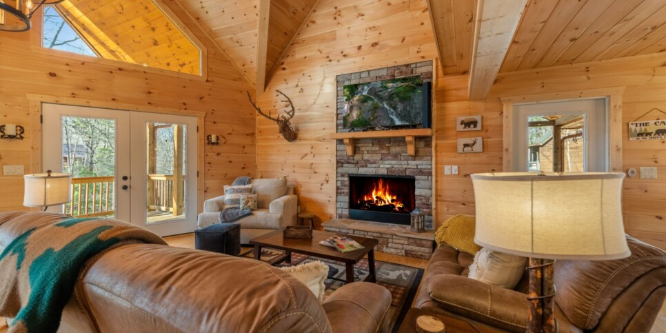 Ellijay - Bucks Bear Lodge - Living Room