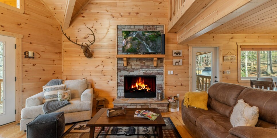 Ellijay - Bucks Bear Lodge - Living Room