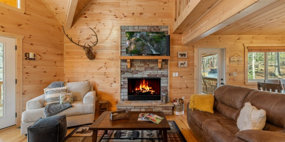 Ellijay - Bucks Bear Lodge - Living Room