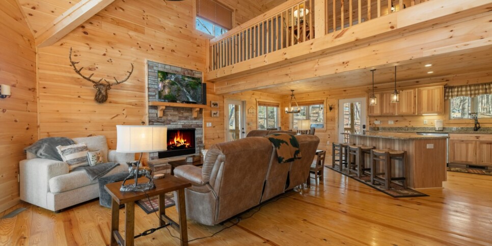 Ellijay - Bucks Bear Lodge - Living Room