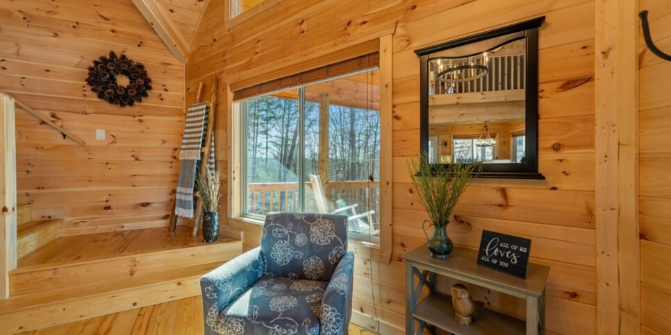 Ellijay - Bucks Bear Lodge - Living Room