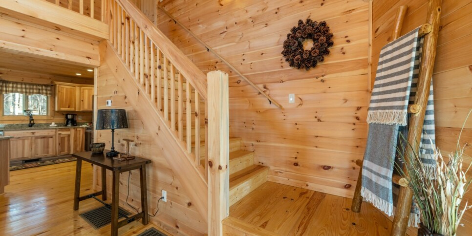 Ellijay - Bucks Bear Lodge - Living Room