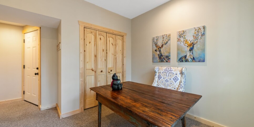 Ellijay - Bucks Bear Lodge - Media Room