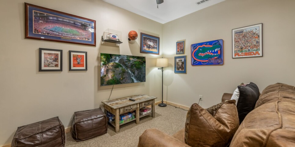 Ellijay - Bucks Bear Lodge - Media Room
