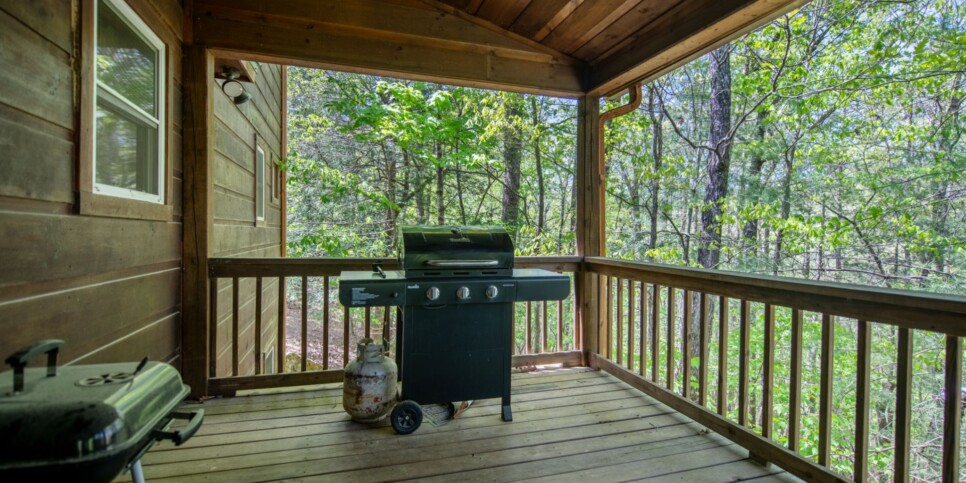 Ellijay Cabin - Dragons Den - Exterior