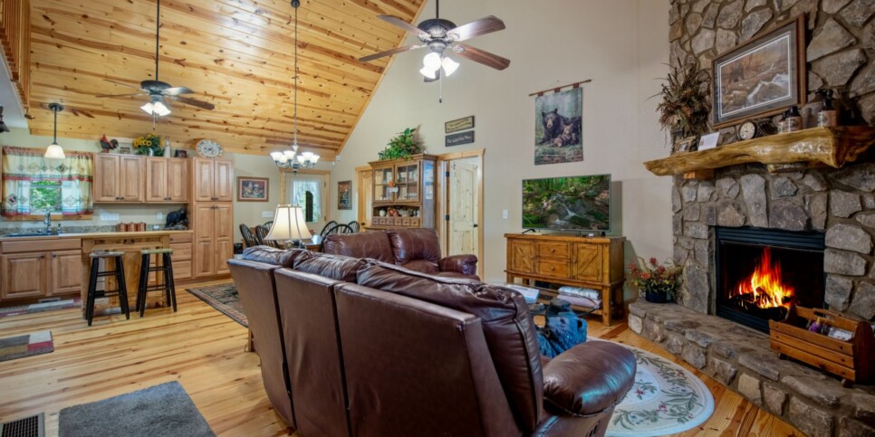 Ellijay Cabin - Dragons Den - Living Room