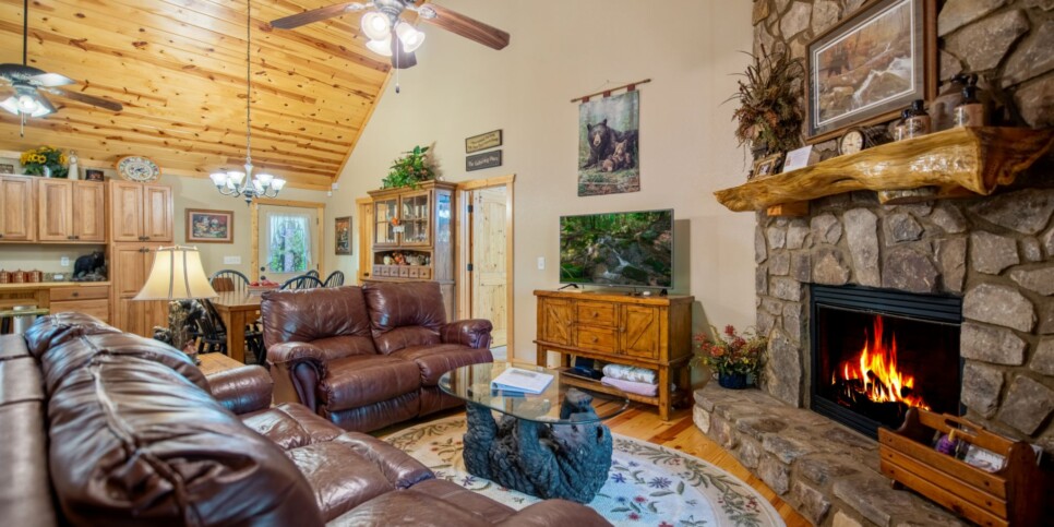 Ellijay Cabin - Dragons Den - Living Room