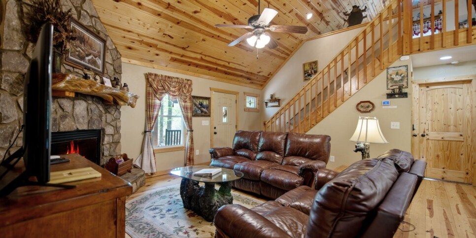 Ellijay Cabin - Dragons Den - Living Room