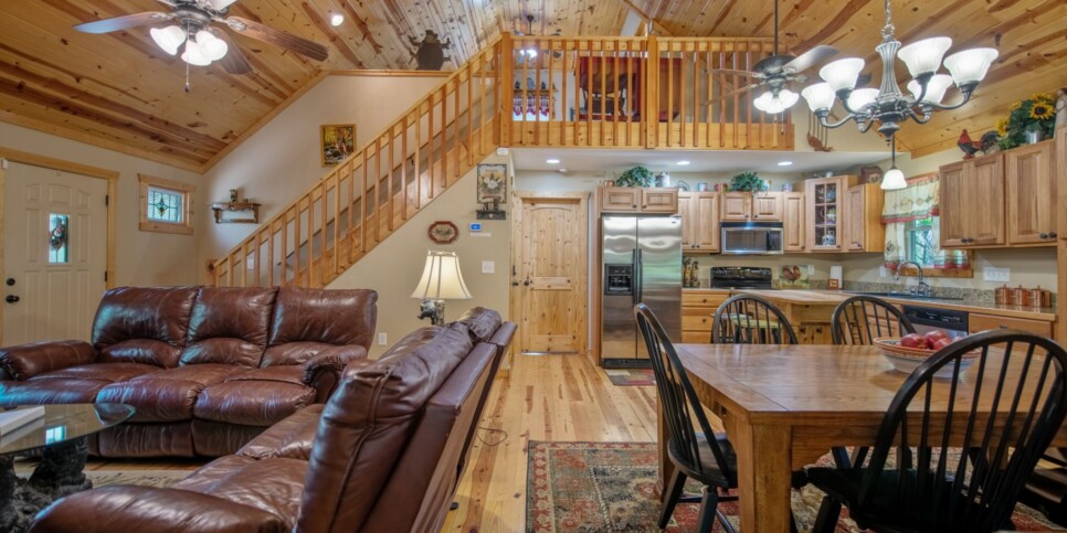 Ellijay Cabin - Dragons Den - Living Room