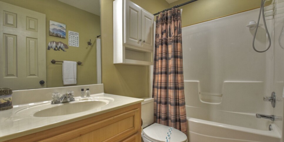 Ellijay - Harleys River Retreat - Bathroom