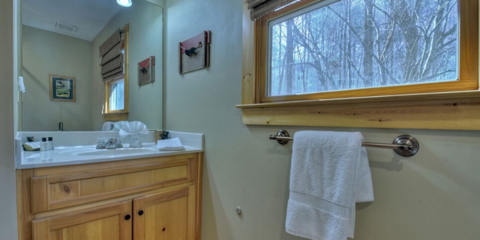 Ellijay - Harleys River Retreat - Bathroom