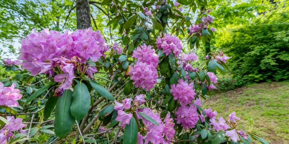 Epworth - Park Hollow - Exterior