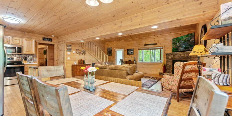 Mineral Bluff - Firefly Cabin - Kitchen