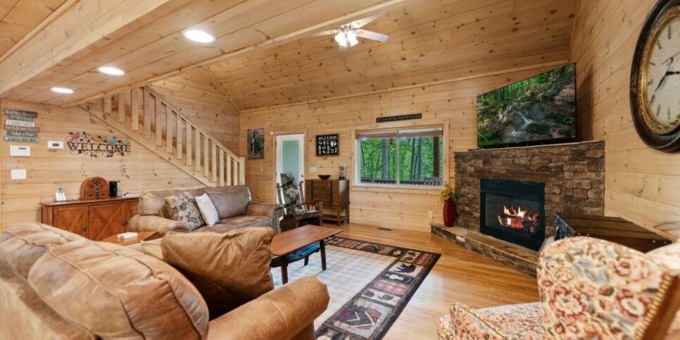 Mineral Bluff - Firefly Cabin - Living Room