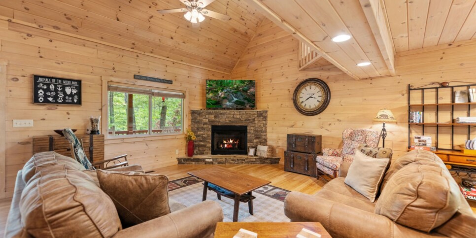Mineral Bluff - Firefly Cabin - Living Room