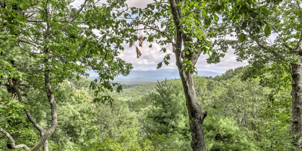 Big Canoe - Serenity Ridge - Exterior