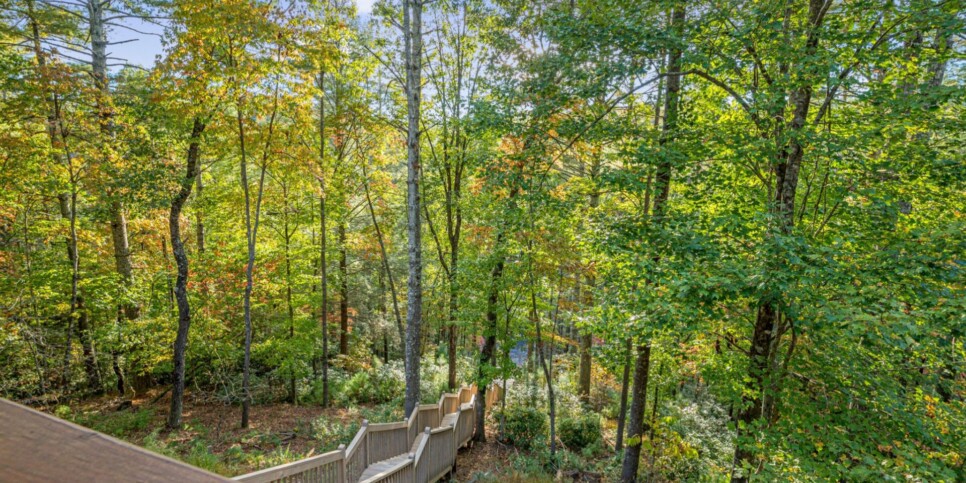 Ellijay Ga Cabin - Peaceful River Hideaway - Exterior