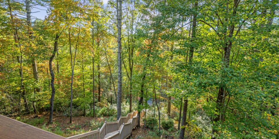 Ellijay Ga Cabin - Peaceful River Hideaway - Exterior