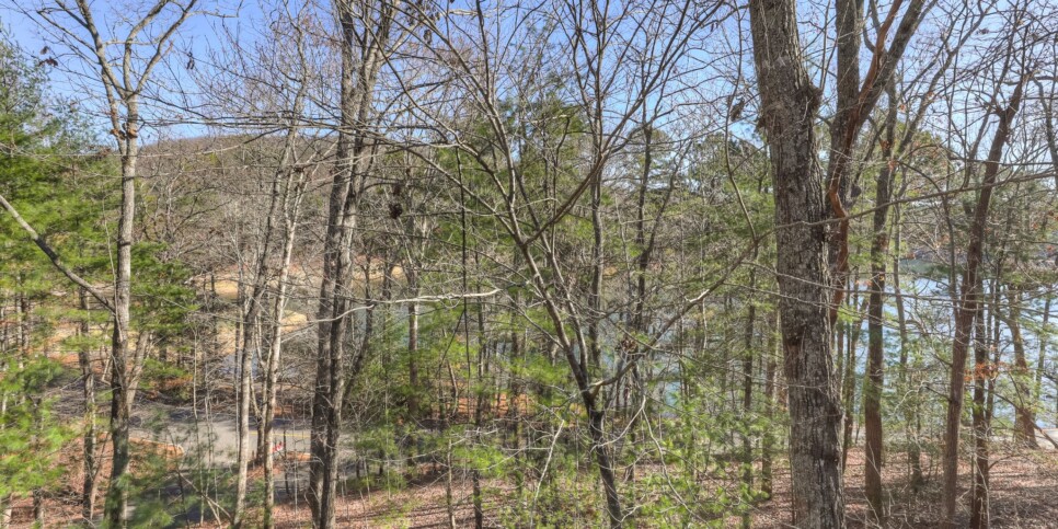 Big Canoe - Misty Ridge - Exterior