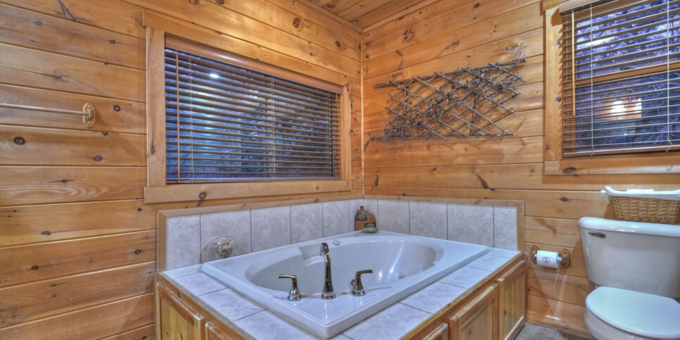 Blue Ridge - Blue Ridge Bliss - Bathroom