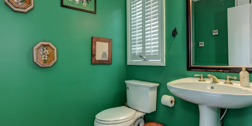 Big Canoe - The Grateful Den - Half Bathroom